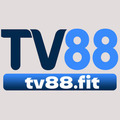 @tv88fit