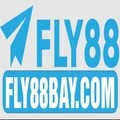 @Fly88baycom