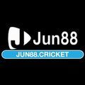 @jun88cricket