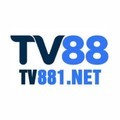 @tv881net