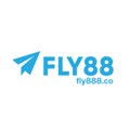 @fly888co