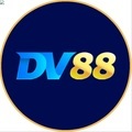 @dv88procom