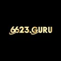 @6623guru
