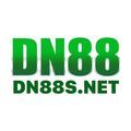 @dn88snet