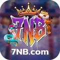 @7nbnetbr