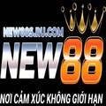 @New88srucom