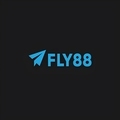 @fly8856com