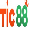 @tic88net