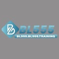 @bl555.training