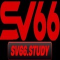 @Sv66study