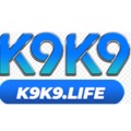 @k9k9life