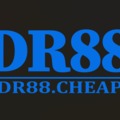 @dr88cheapp