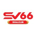 @sv66club