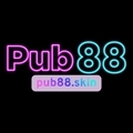 @pub88skin