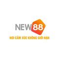 @new8838net1