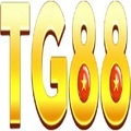 @tg88nycom