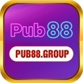 @pub88group