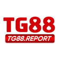 @tg88report