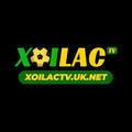 @xoilactvuknet