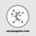 @zorapuppies