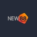 @New88onl