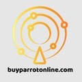 @buyparrotonline