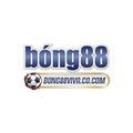 @bong88vivacocom