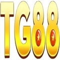 @tg8822com