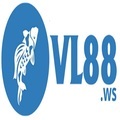 @vl88ws