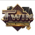 @twin68consulting