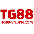 @tg88vnjpncom