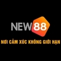 @new88ctoday