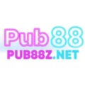 @pub88znet