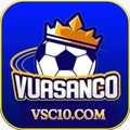 @vsc10com