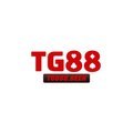 @tg888beer