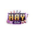 @Haywin1network