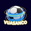 @Vsc2net