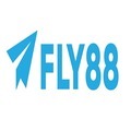 @fly88netcom