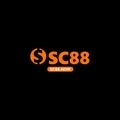 @Sc88nowvn