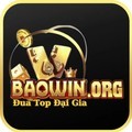 @baowinorg