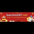@Bacnho247net