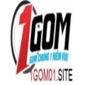 @1gom01site