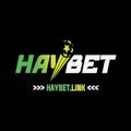 @haybetlink