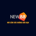 @new88kunet