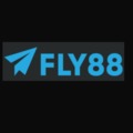 @fly88forexx