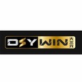 @dsywin
