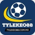 @tylekeo88com