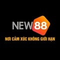 @new88088vip1