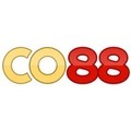 @co88itcom