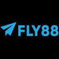 @fly8889com